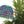 CHRISTMAS JUMPERS SEWN GARLAND