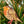 WINTER BIRDS PAPER ORNAMENTS