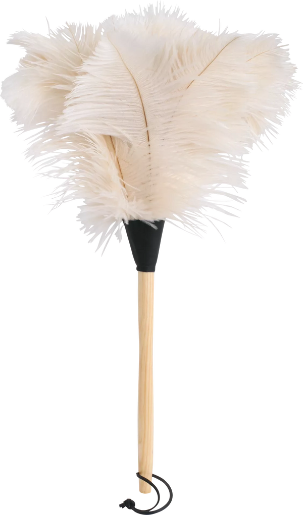 Feather duster