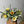 Floral Basket - Small