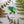 Plant Lady Sticker