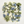 Garden Mist Blend™ Ivory Rose Petals · Blue & Green Weddings