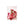 Amour Mix Small Pressed Floral Packet