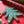 CHRISTMAS TREES CONCERTINA GARLAND