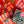 Tangy Red Fussy Stripe Tissue Paper