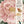 John Derian Sticker Book II