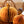 PUMPKIN HONEYCOMB
