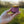 Perennial Glow Facial Tallow Balm