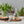 Vintage English Bread Board: Bread, Small, Natural