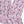 Floral Bloom Cotton Blend Socks