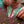 INSECTS SEWN GARLAND