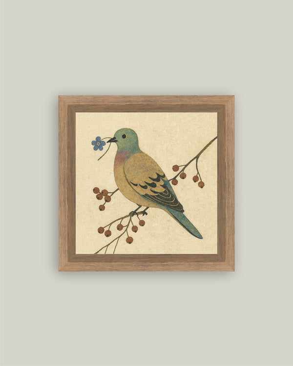 Peace Offering Dove