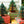 FIR TREE HONEYCOMB
