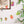 Fruit Sewn Garland
