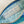 Whale Fabric Case
