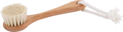Face Brush