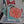 Special Card Snail Mail
