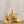 Accent Botanical Reed Diffuser - Sugared Citrus