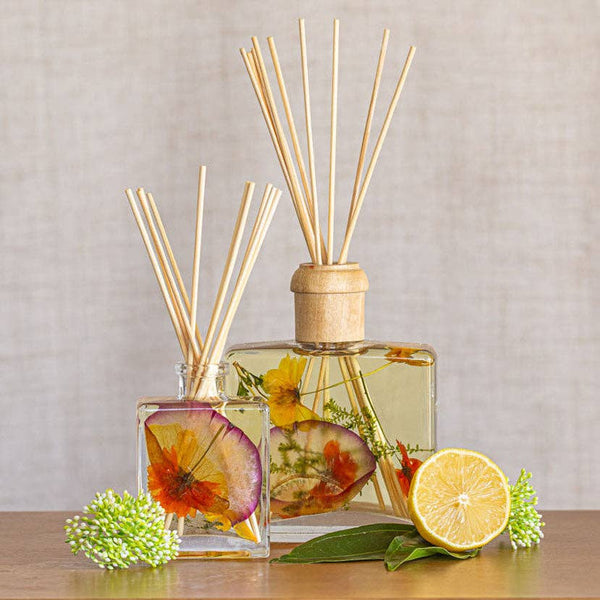 Accent Botanical Reed Diffuser - Sugared Citrus