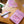 FLORAL NOTECARD SET