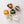 Eco Kylie Cellulose Acetate Hair Clip