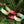 FESTIVE PAPER CHAIN KIT