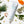 Botanic Buzz Hand Cream