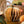 PUMPKIN HONEYCOMB