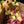 YELLOW & GREEN PAPER CHAIN KIT