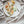 Flowers On A Plate