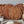 Vintage English Bread Board: Bread, Small, Natural