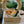 Holiday Wreath Workshop 11/22/25