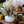 Fall Pumpkin Decorating Workshop 10/25/25