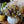 Fall Pumpkin Decorating Workshop 10/25/25