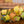 YELLOW & GREEN PAPER CHAIN KIT