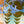 Christmas Trees Concertina Garland