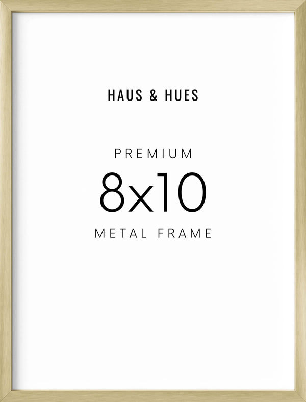 8x10, Gold Aluminum Plexi Frame