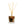 Spicy Apple 4 oz Botanical Diffuser