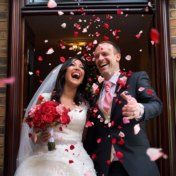 Oh My Deep Red Real Rose Petals Freeze-dried. Wedding USA