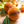 Orange Honeycomb Ornament