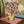 BLOOMSBURY OCHRE VASE GREETING CARD