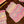 CELEBRATION CAKES SEWN GARLAND