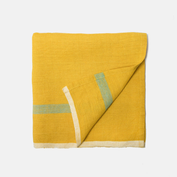 Laundered Linen Lime Aqua Napkins 20x20 - Set of 2