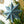 Twinkling Star Screen-Printed Board Golden Star Screen-Printed Board Decoration