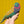 PARROT GREETING CARD