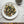 Flowers On A Plate