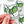 Vodka Soda Embroidered Patch Funny Cocktail Iron On Gin Hat