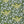 Patterned Paper Songbird Moss