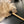 Feather duster
