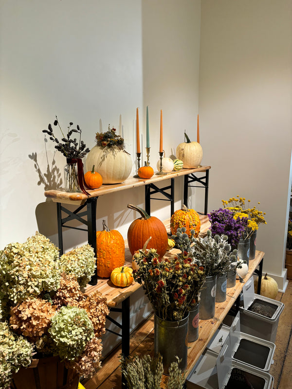 Fall Pumpkin Decorating Workshop 10/25/25